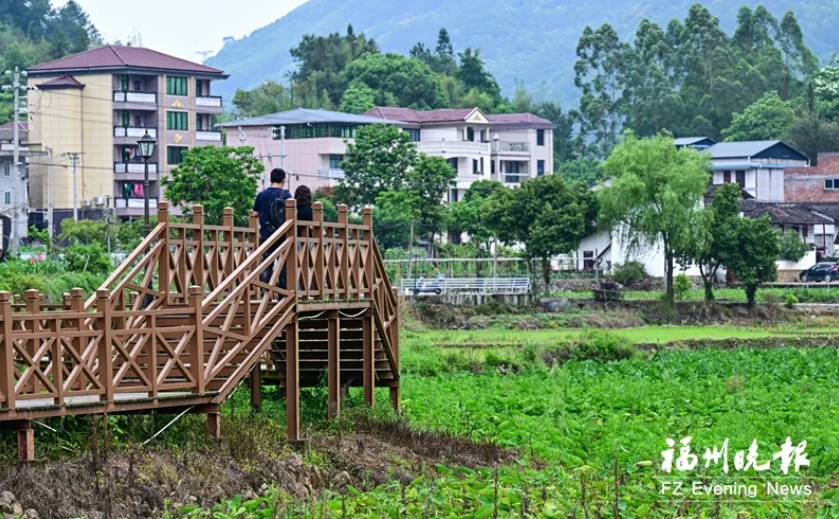 【福州晚報(bào)關(guān)注】閩清山邊村：活用古厝 點(diǎn)“金”賦能