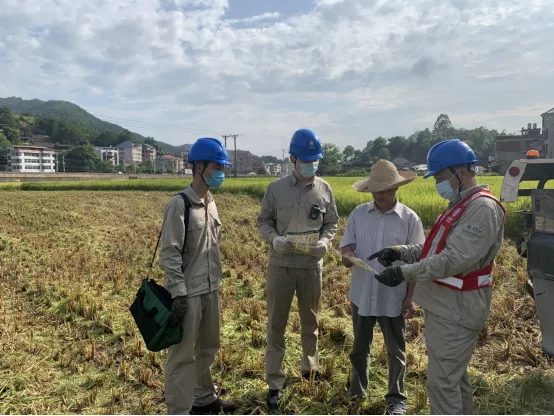 開展電力設(shè)施巡視 保障農(nóng)民秋收用電