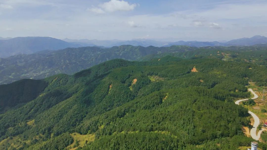 聽·見閩清 | 相約柯洋,，看那山那水