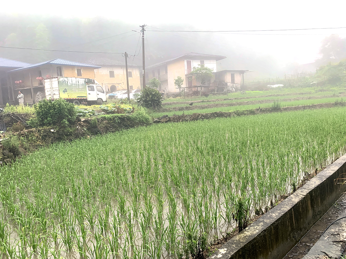 閩清：嚴(yán)禁拋荒撂荒 多措并舉穩(wěn)定糧食生產(chǎn)