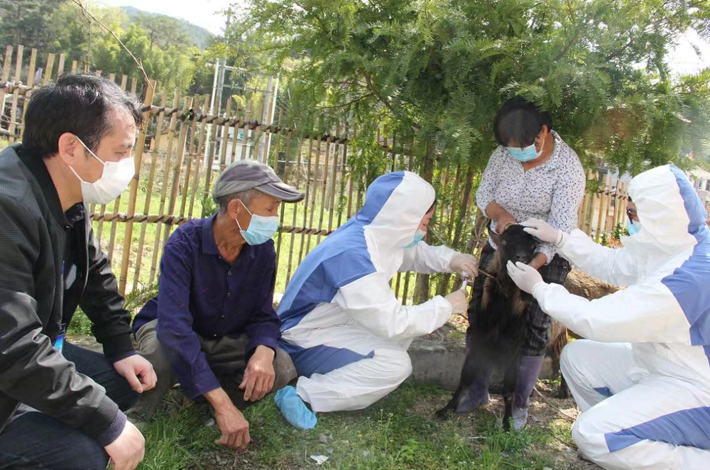 新華社福建·頻道關(guān)注,！閩清貧困戶還貸記