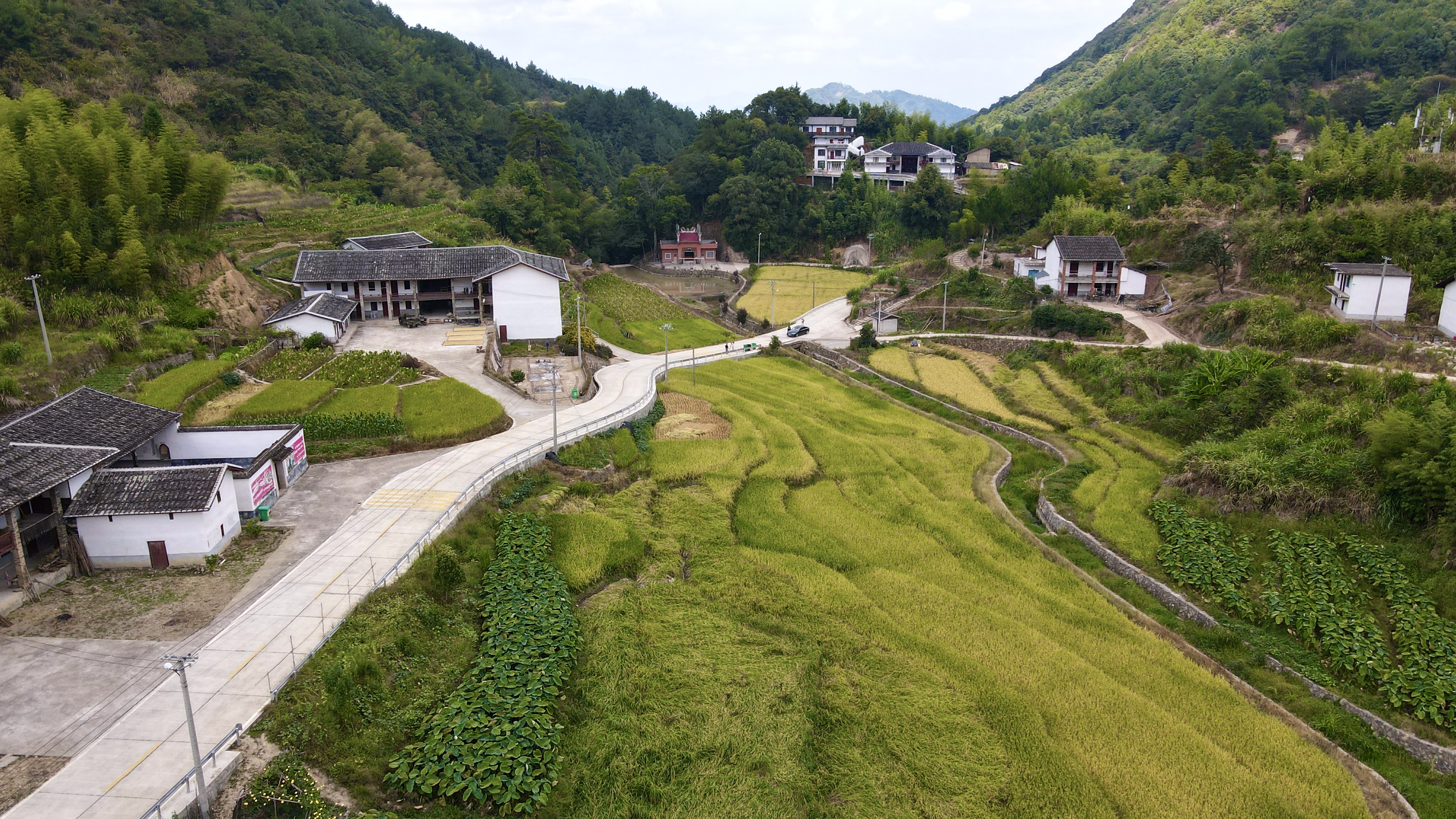 前坪村：紅色鄉(xiāng)村面貌新 秋來山村風(fēng)景好