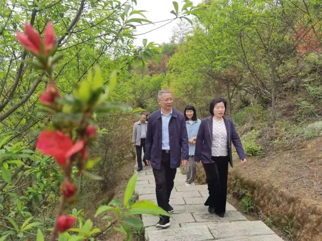 昨日,，閩清這里來(lái)了一群市里的朋友～